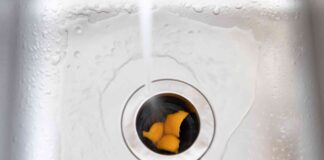 Чого не можна викидати в подрібнювач сміття: поради сантехніка