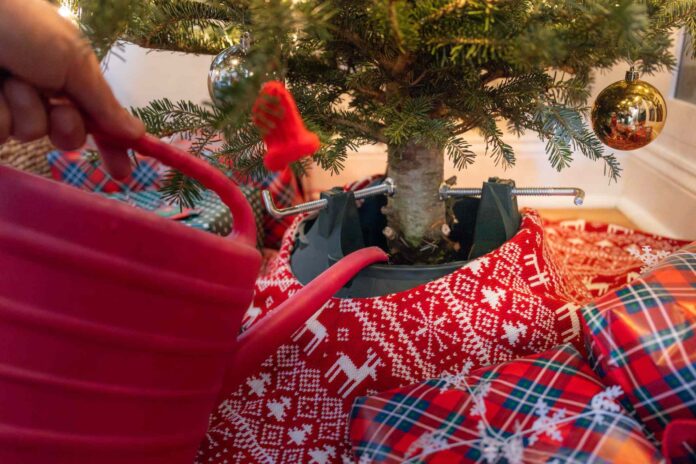 b555c24b-41ea-4238-853e-8b2770e12a86