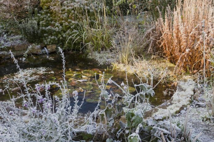 c30a5c12-fb9e-4914-9c43-fcb1bc5ebee2