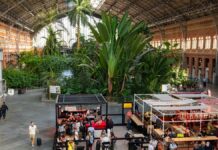 Top 5 Länder für Expats: Kosten, Kultur und Lebensqualität in Einklang bringen