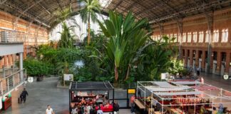 5 кращих країн для експатів: баланс вартості життя, культури та якості життя