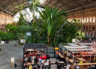 Top 5 landen voor expats: evenwicht tussen kosten, cultuur en levenskwaliteit