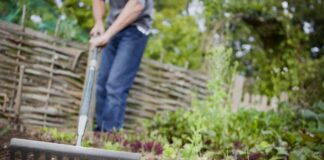 Early Garden Prep: 5 Tasks for a Bountiful Spring