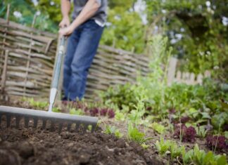 Preparazione anticipata del giardino: 5 compiti per una primavera abbondante