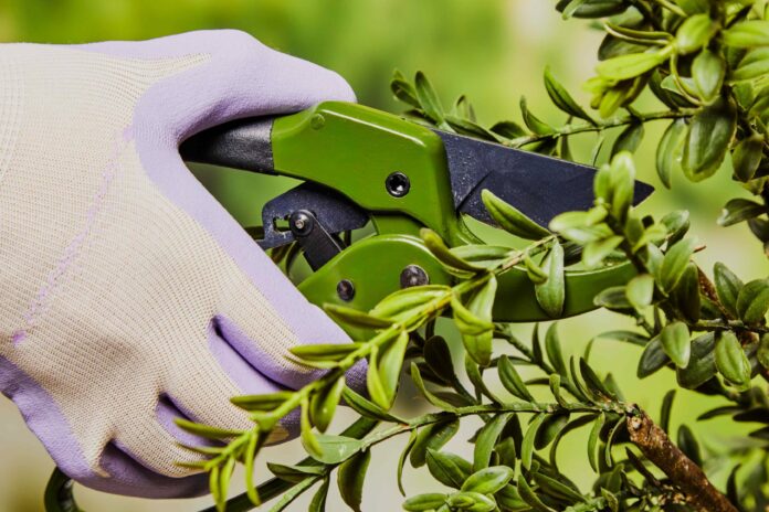 b76ede86-91ec-4c65-a065-4d0963417700