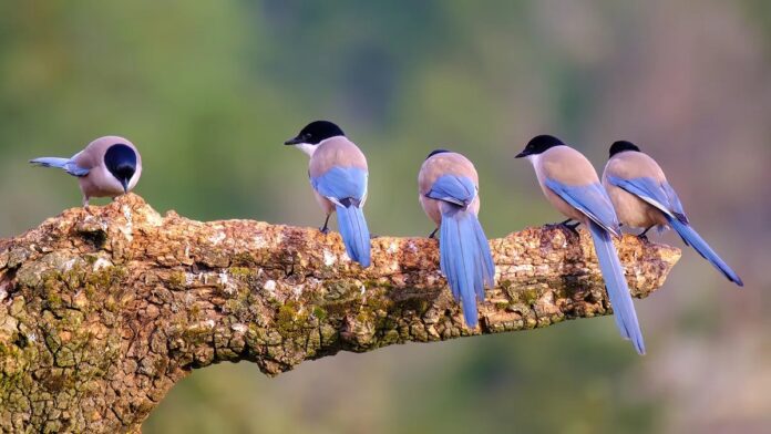 bf756dd6-0700-4a6a-8d66-0644d95c9310