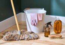 Повторне використання побутових відходів для догляду за рослинами: посібник із безпечного та ефективного використання