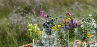 Вторинне використання скляних банок: 7 практичних способів від професійних організаторів