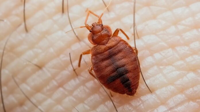 56085ec7-67df-4f29-911c-2e248501d2ed