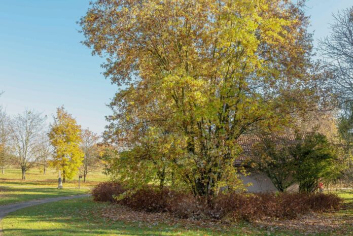 6aa8625d-e674-4d0f-ab20-ecf5dea6b23b