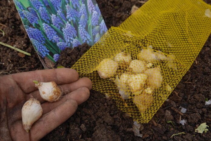 7635ba03-2fbf-46f5-baaa-7335ba3cca76