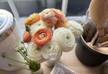 Вірусний квітковий лайфхак: чи справді він продовжує життя квітам?