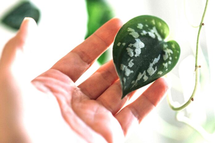 a35e28e2-5b1f-4db0-bcd3-7764df04793b