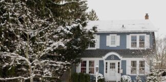 Сніг та Ваш Газон: Коли Зимове Покривало Допомагає або Шкодить