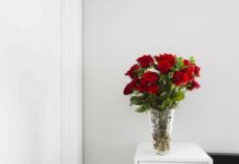 Правда про Троянди та Цукрову воду: Що Насправді Рекомендують Флористи 🌹