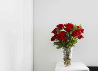 La verdad sobre las rosas y el agua azucarada: lo que realmente recomiendan los floristas 🌹