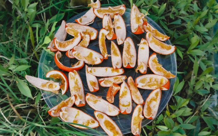 02b06730-49a1-4854-9919-adb6c365e3e4