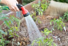 Полив Овочевого Саду: Практичний Посібник