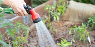 Полив Овочевого Саду: Практичний Посібник
