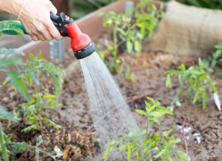 Полив Овощного Сада: Практическое Руководство