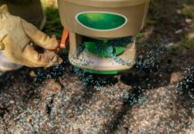 Зростання Трави з Насіння: Практичний Посібник для Швидких Результатів