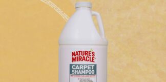 4 Кращих Шампуня для Килимів для Чистого Дому