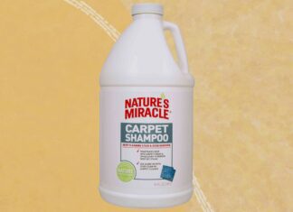 Les 4 meilleurs shampoings pour tapis pour une maison plus propre