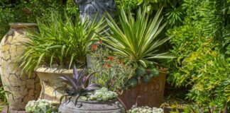 9 літніх квітів для посадки зараз, щоб створити яскравий сад