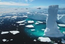 Північний Льодовитий океан і чому ви буквально не можете жити без нього