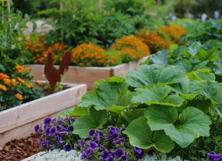 Małe ogrodnictwo warzywne: Praktyczny przewodnik po maksymalizacji plonów