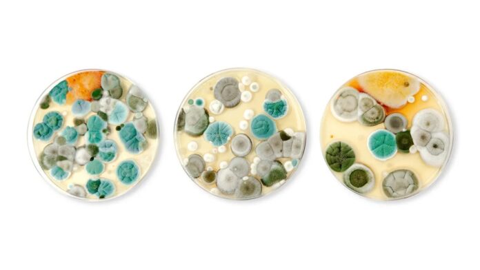 52012c18-97bd-4599-80c8-a501795acd47