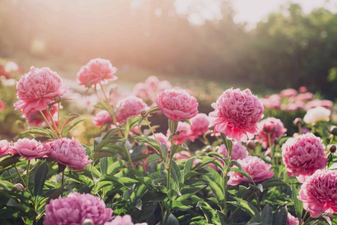 93442fc7-600c-41ac-8513-9a3bd0983fb2