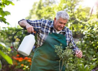 Como matar ervas daninhas naturalmente com vinagre e água fervente